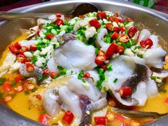 -全乐鱼馆·淳牌有机鱼直营店