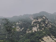 -大岭沟猕猴桃谷风景区