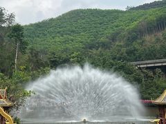 -西双版纳原始森林公园