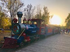 -永定河休闲森林公园