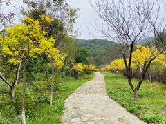 -武汉姚家山旅游景区