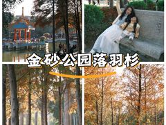 -金砂公园