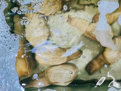 -蟹老板的海鲜