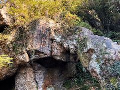 -树山生态村