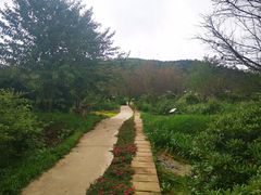 -名花谷生态庄园