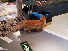 -小时光咖啡馆(开森度假森林店)