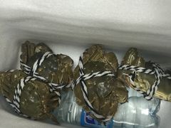 -喜洋洋蟹庄(阳澄湖店)