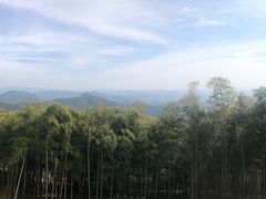 -莫干山风景区
