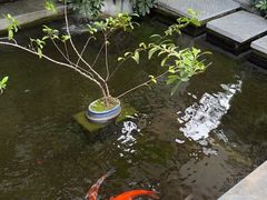 -漫笙舍Manse·咖啡·民宿