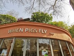 -WHEN PIGS FLY当猪飞