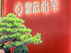 -鼎族怡华·指压·油压·经络(西单昌盛大厦店)