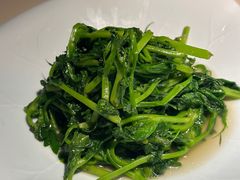 -淮扬府·游园京梦(北京SKP店)