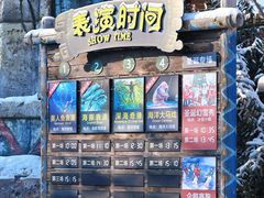 -哈尔滨波塞冬海底世界