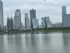 -深圳湾公园(南山区)