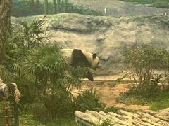 -石排湾郊野公园