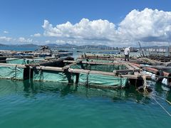 -广东惠东海龟国家级自然保护区