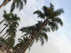 -南宁南湖公园