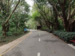 -深圳国际园林花卉博览园