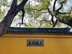-西园戒幢律寺