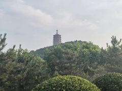 -永定河休闲森林公园