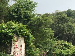 -广州白江湖森林公园