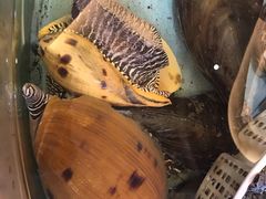 -钱山海鲜大排档