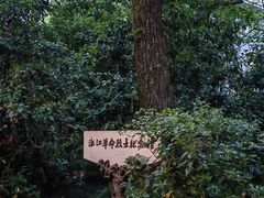 -西湖游船