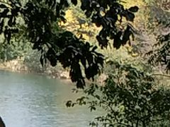 -西湖外事游船(花港观鱼码头)