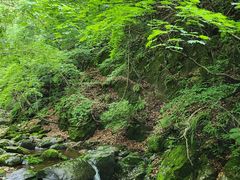 -本溪汤沟绿石谷森林公园