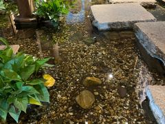 -邈墨茶馆(大兜路1号店)
