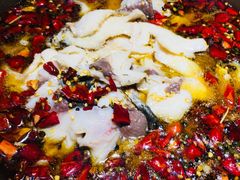 -小草房水煮鱼(东关大街店)