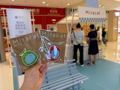 -首开·龙湖成都西宸天街
