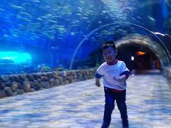 -华夏文旅海洋公园