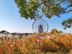 -苏州太湖湖滨国家湿地公园