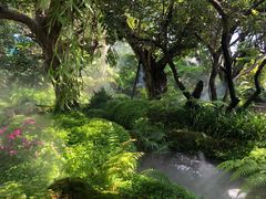 -Chom Cafe and Restaurant