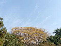 -海珠湖公园