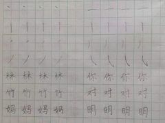 -赵汝飞练字硬笔书法(航头校区)