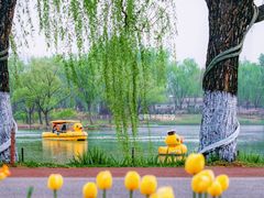 -朝阳公园