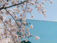 -龙美术馆(西岸馆)