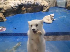 -顺德南宏海立方海洋公园