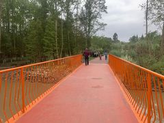 -桤木河湿地公园