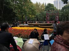 -人民公园-相亲角