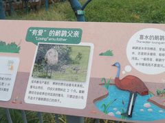 -武汉动物园