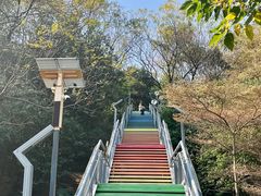 -佛山华盖山公园