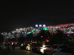-枇杷园食为鲜火锅(南山店)