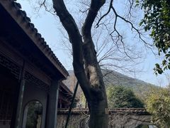 -惠山古镇·寄畅园