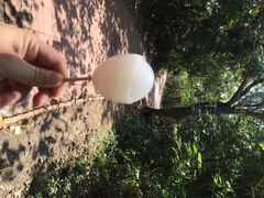 iphone_upload_pic-台湾最南点