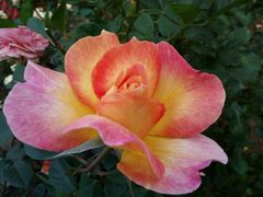 -人民公园(罗湖区)