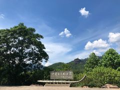 -九曲溪竹筏码头