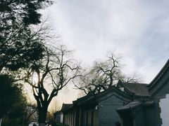 -菖蒲河公园